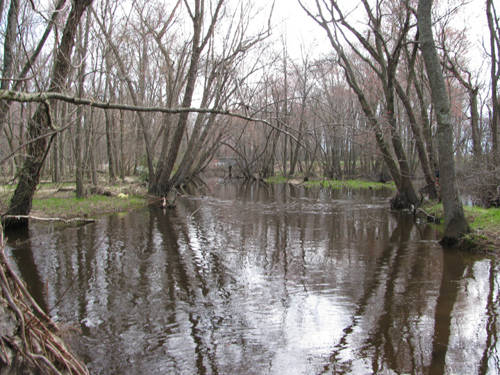 Field photo showing stream conditions at site TUCK-304-H-2010-2