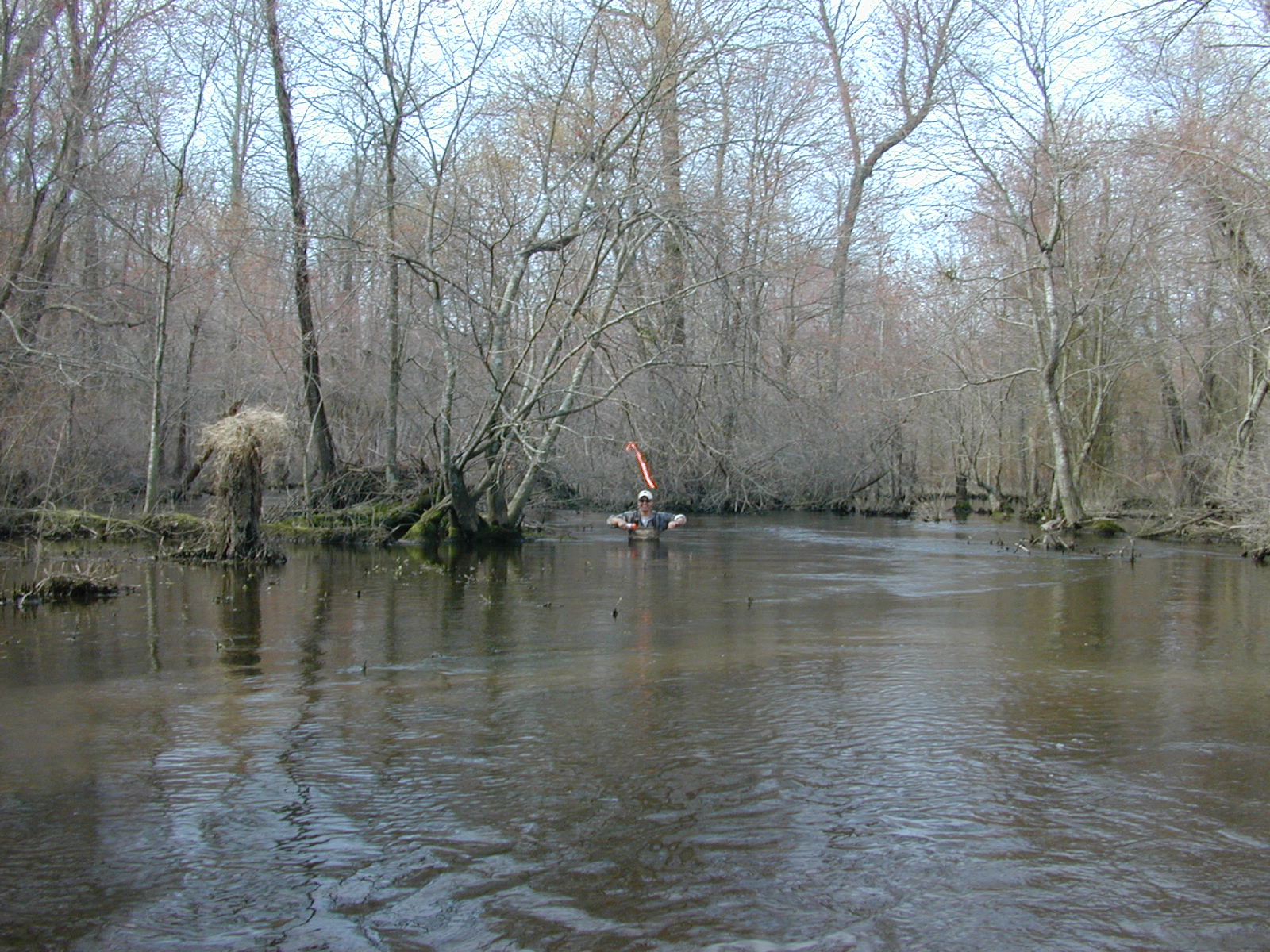Field photo showing stream conditions at site TUCK-318-R-2003-0939