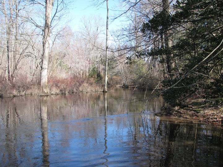 Field photo showing stream conditions at site TUCK-401-A-2011-1