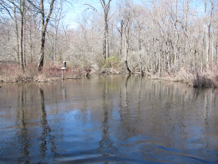 Field photo showing stream conditions at site TUCK-401-A-2011-2