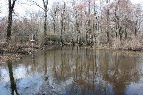 Field photo showing stream conditions at site TUCK-401-A-2012-25mMarkDownstream