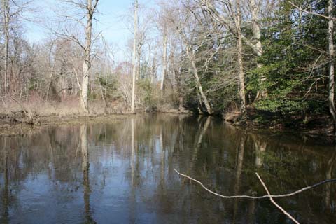 Field photo showing stream conditions at site TUCK-401-A-2012-25mMarkUpstream