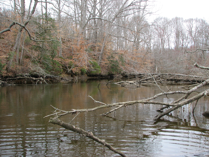 Field photo showing stream conditions at site TUCK-401-R-2008-1