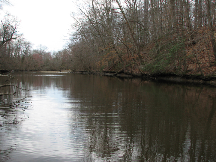 Field photo showing stream conditions at site TUCK-401-R-2008-2