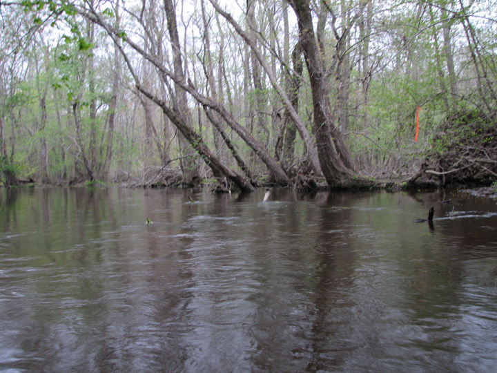 Field photo showing stream conditions at site TUCK-450-H-2007-1