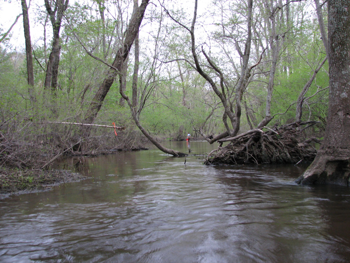 Field photo showing stream conditions at site TUCK-450-H-2007-2