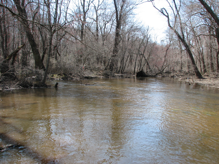 Field photo showing stream conditions at site TUCK-450-H-2008-1