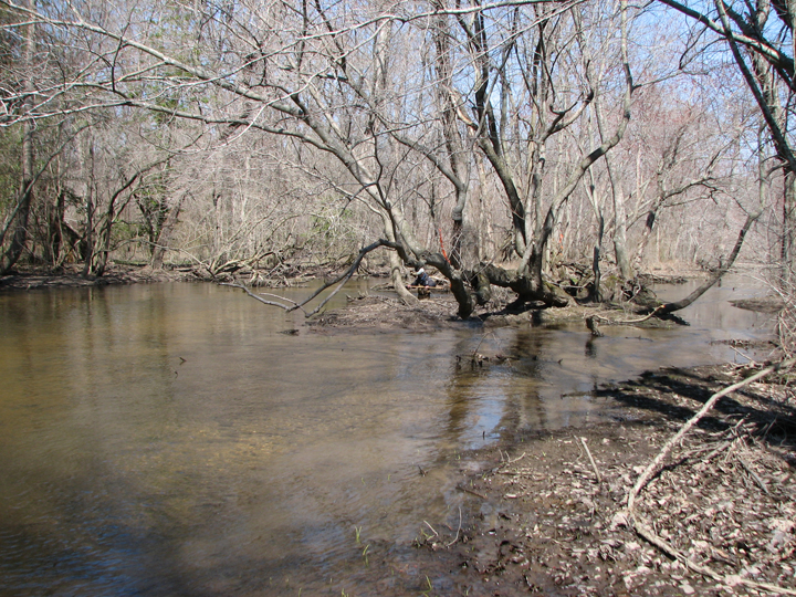 Field photo showing stream conditions at site TUCK-450-H-2008-2