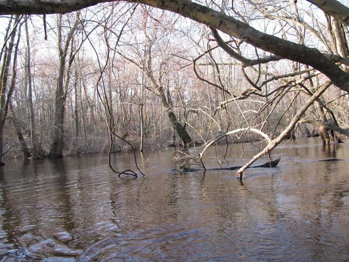 Field photo showing stream conditions at site TUCK-450-H-2010-1