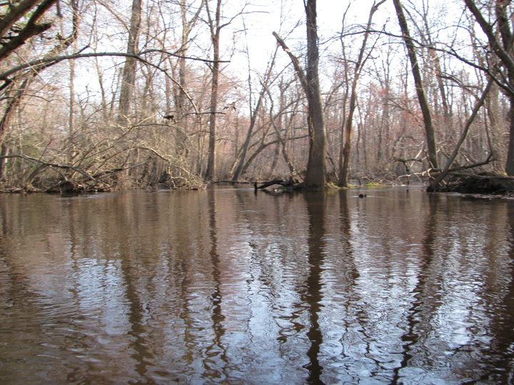Field photo showing stream conditions at site TUCK-450-H-2010-2