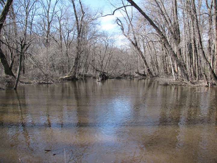 Field photo showing stream conditions at site TUCK-450-H-2011-1
