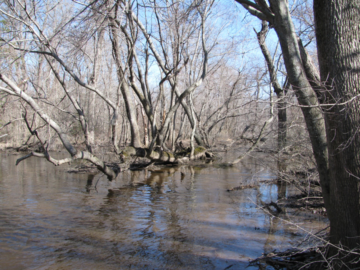 Field photo showing stream conditions at site TUCK-450-H-2011-2