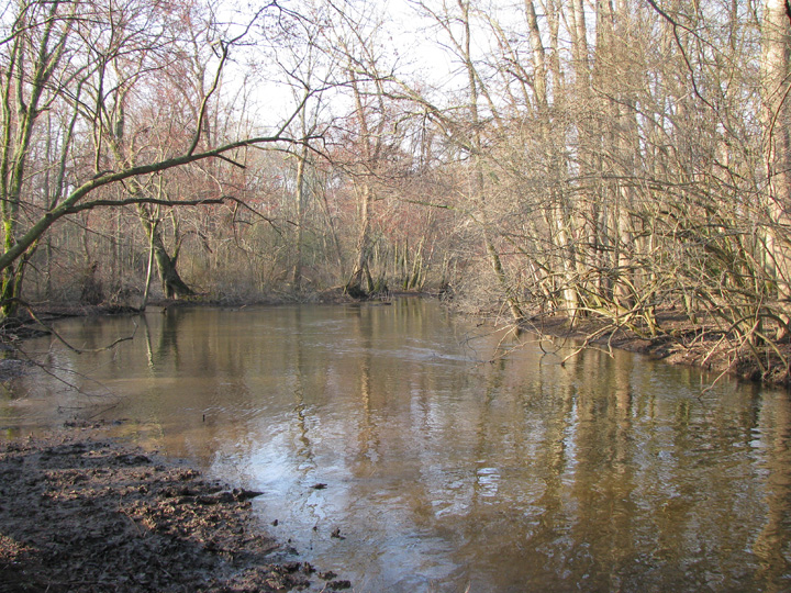 Field photo showing stream conditions at site TUCK-450-H-2012-MidpointPdownstream