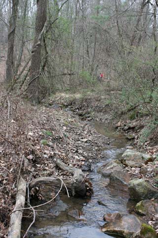 Field photo showing stream conditions at site Town-192-A-2012-25mupstream