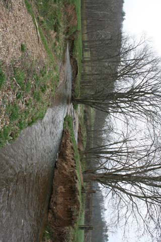 Field photo showing stream conditions at site Town-391-A-2012-50mdownstream
