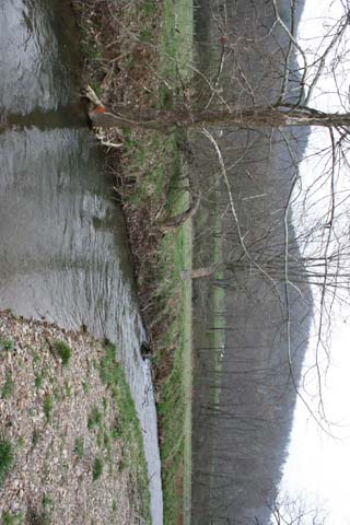 Field photo showing stream conditions at site Town-391-A-2012-50mupstream