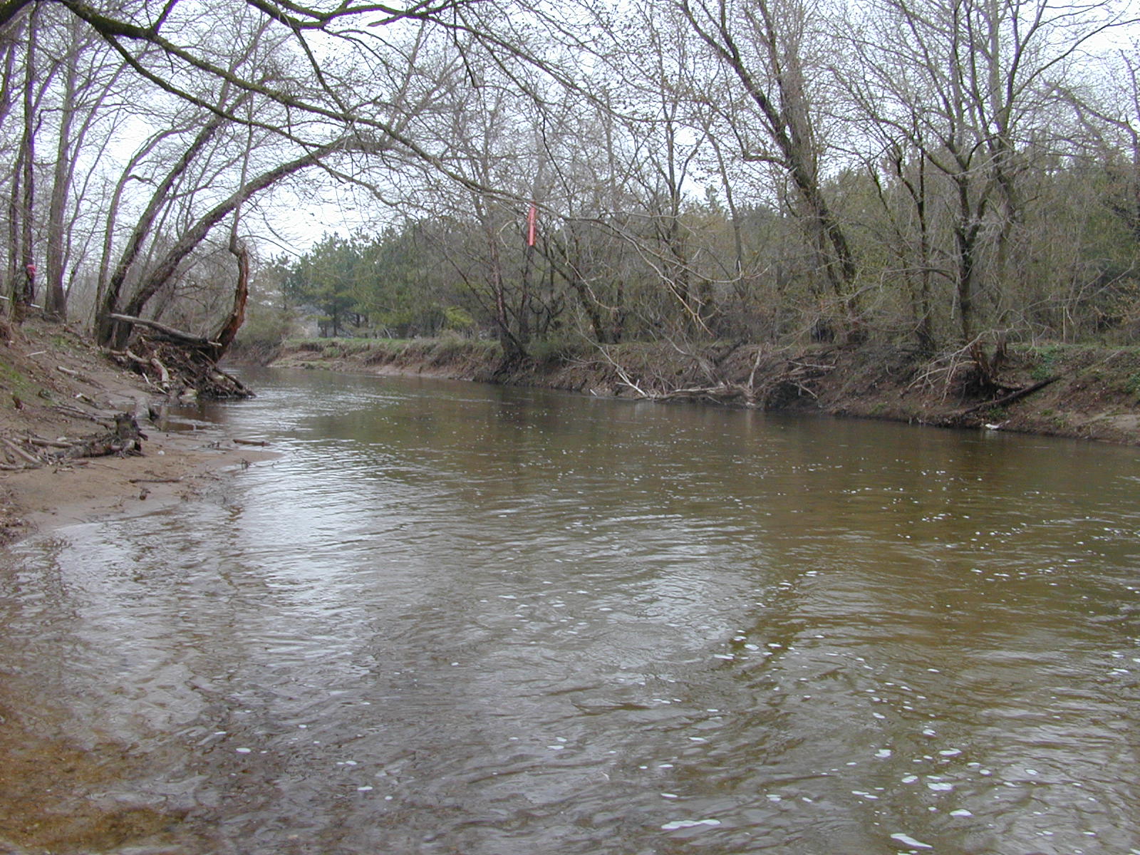 Field photo showing stream conditions at site UELK-308-R-2003-0988