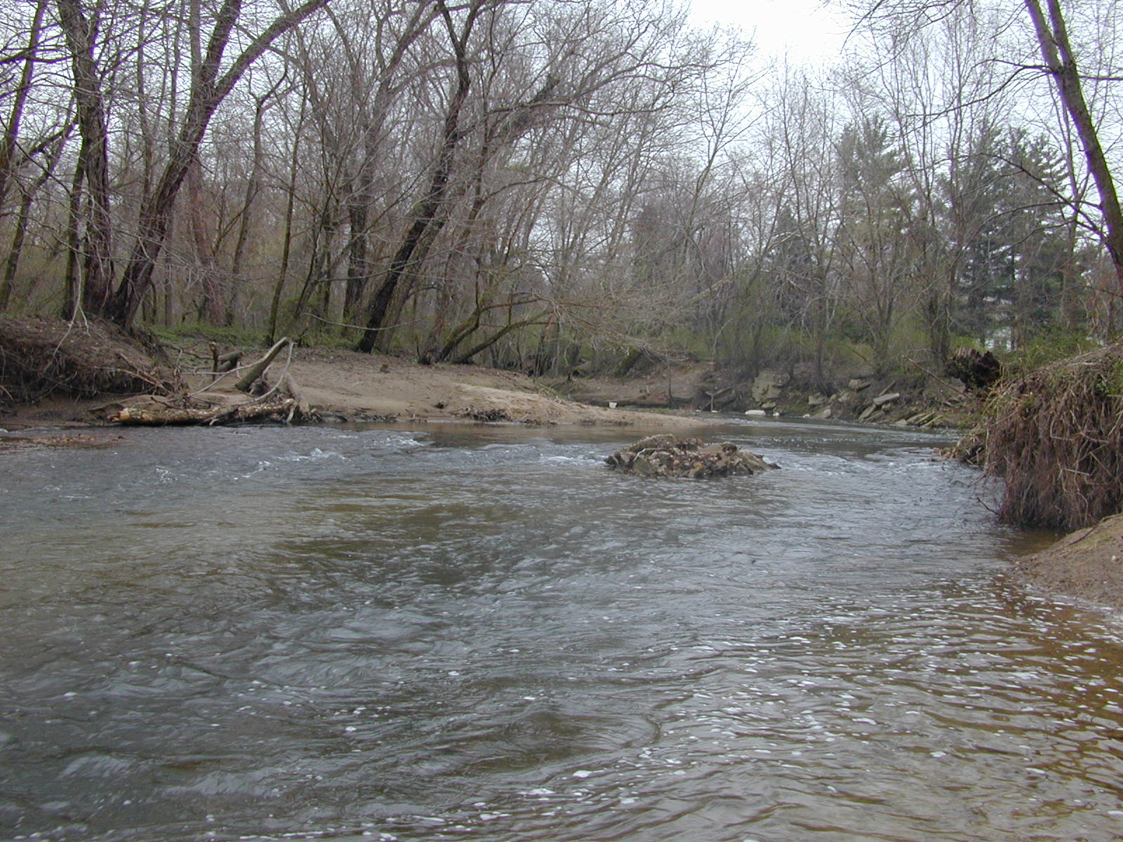 Field photo showing stream conditions at site UELK-308-R-2003-0989