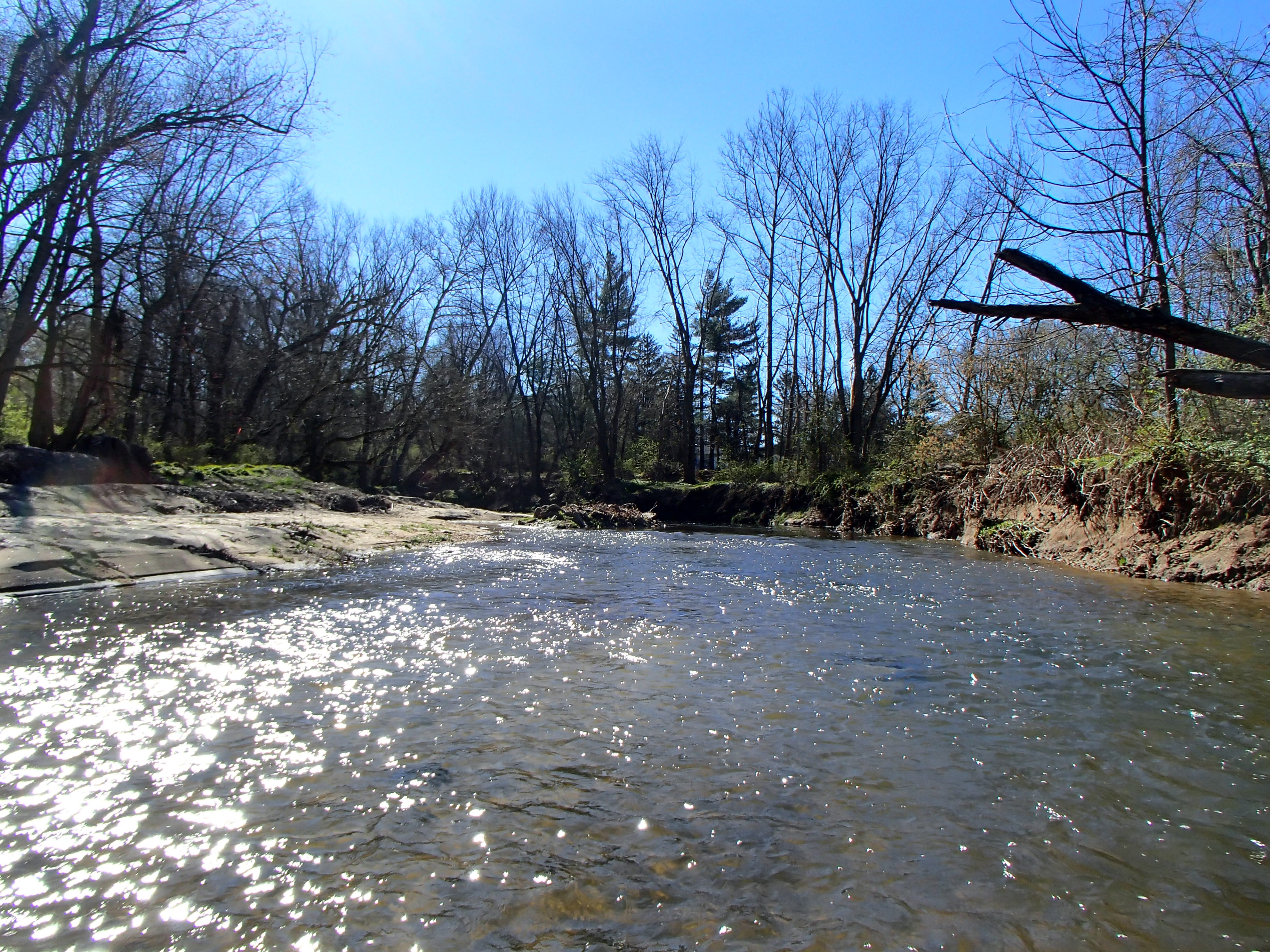 Field photo showing stream conditions at site UELK-308-R-2017-MidpointFacingUpstream