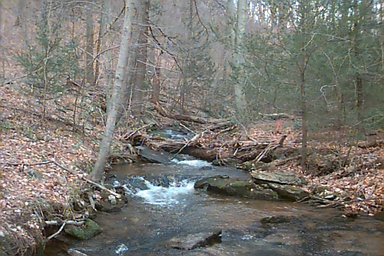 Field photo showing stream conditions at site UMON-101-C-2000-01