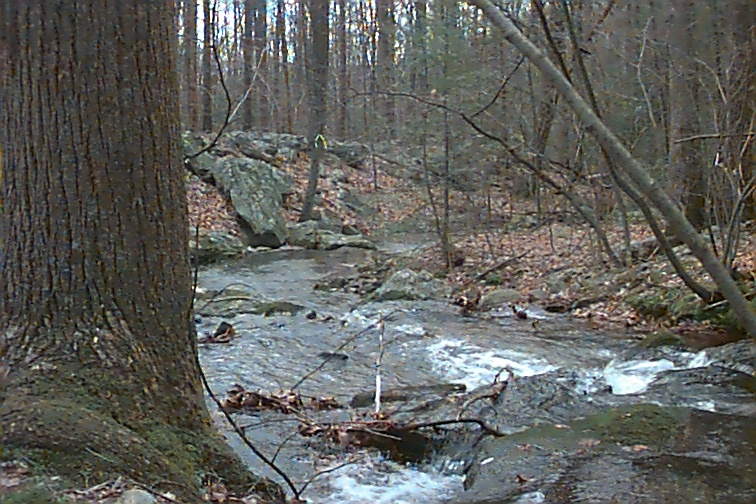 Field photo showing stream conditions at site UMON-101-C-2000-02