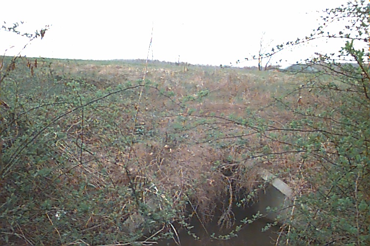 Field photo showing stream conditions at site UMON-101-R-2000-02
