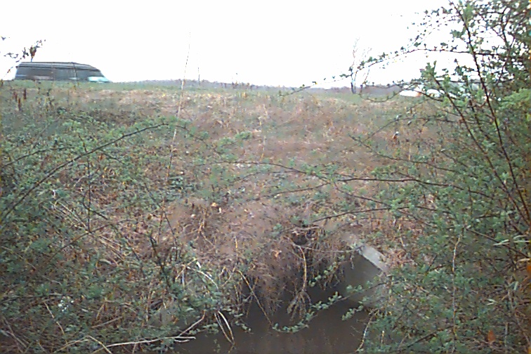 Field photo showing stream conditions at site UMON-101-R-2000-03