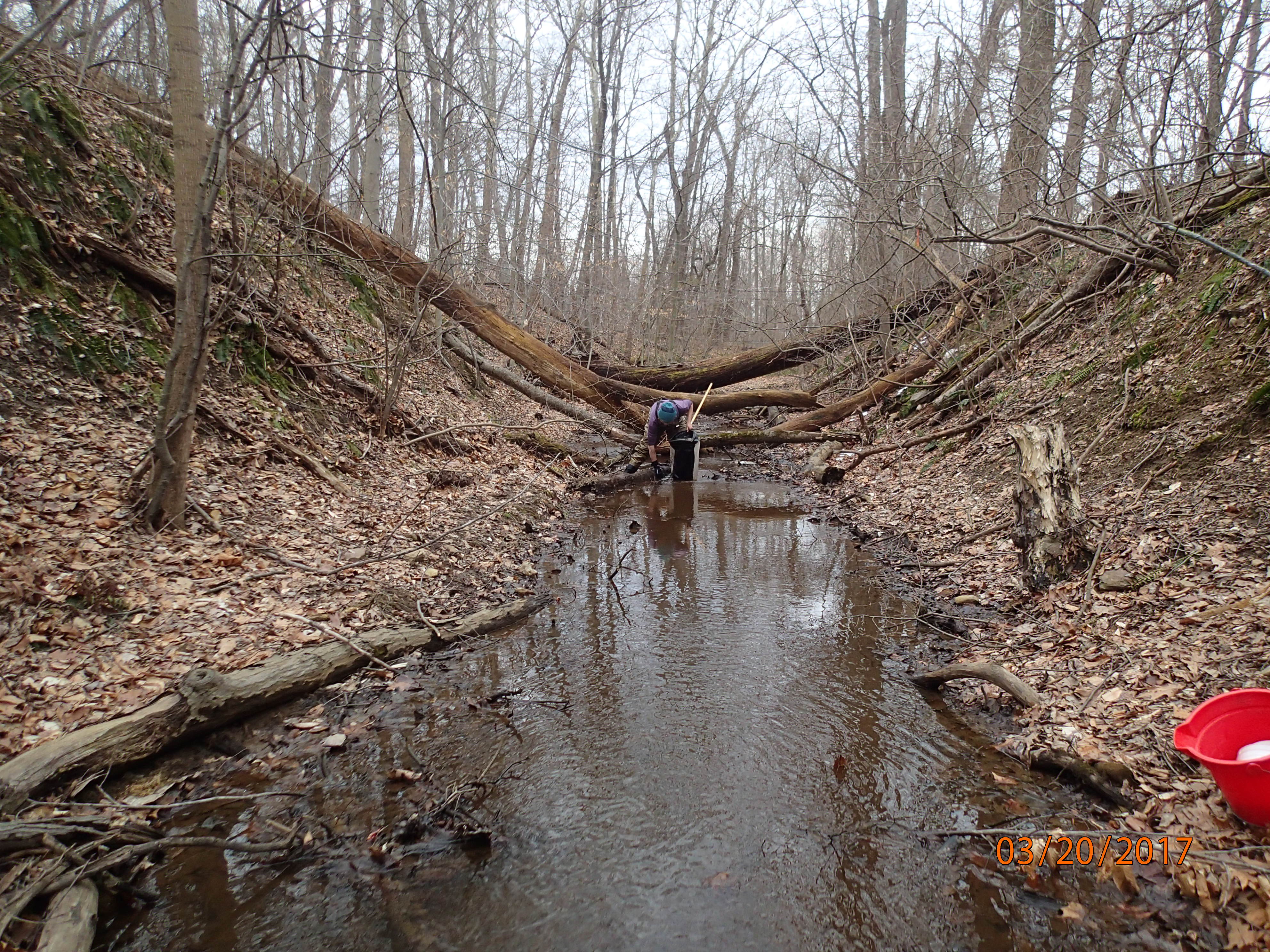 Field photo showing stream conditions at site UMON-101-X-2017-MidpointDownstream