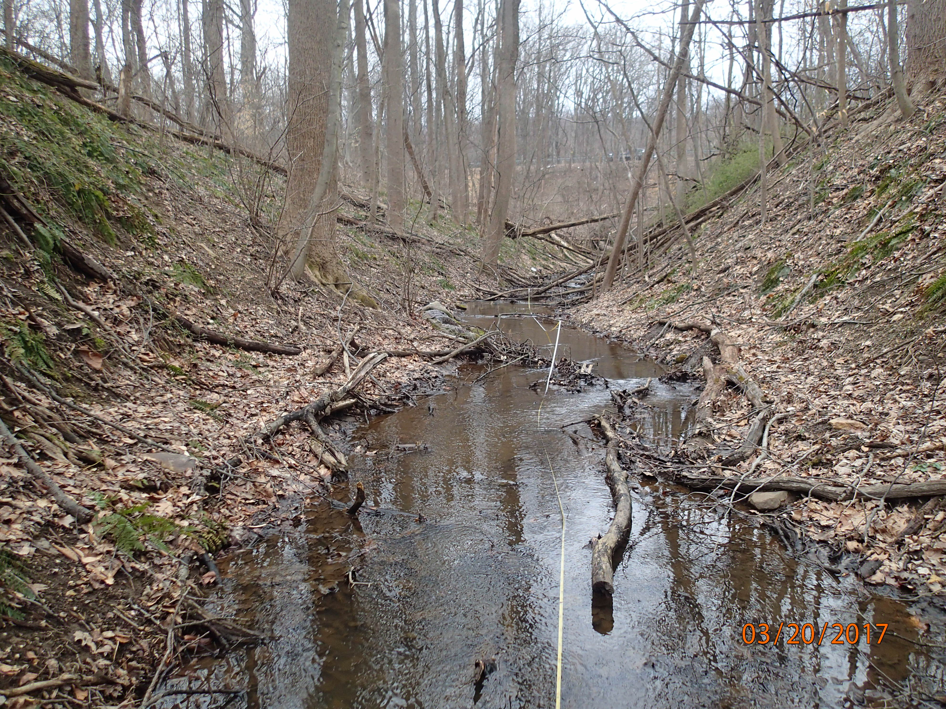Field photo showing stream conditions at site UMON-101-X-2017-MidpointUpstream