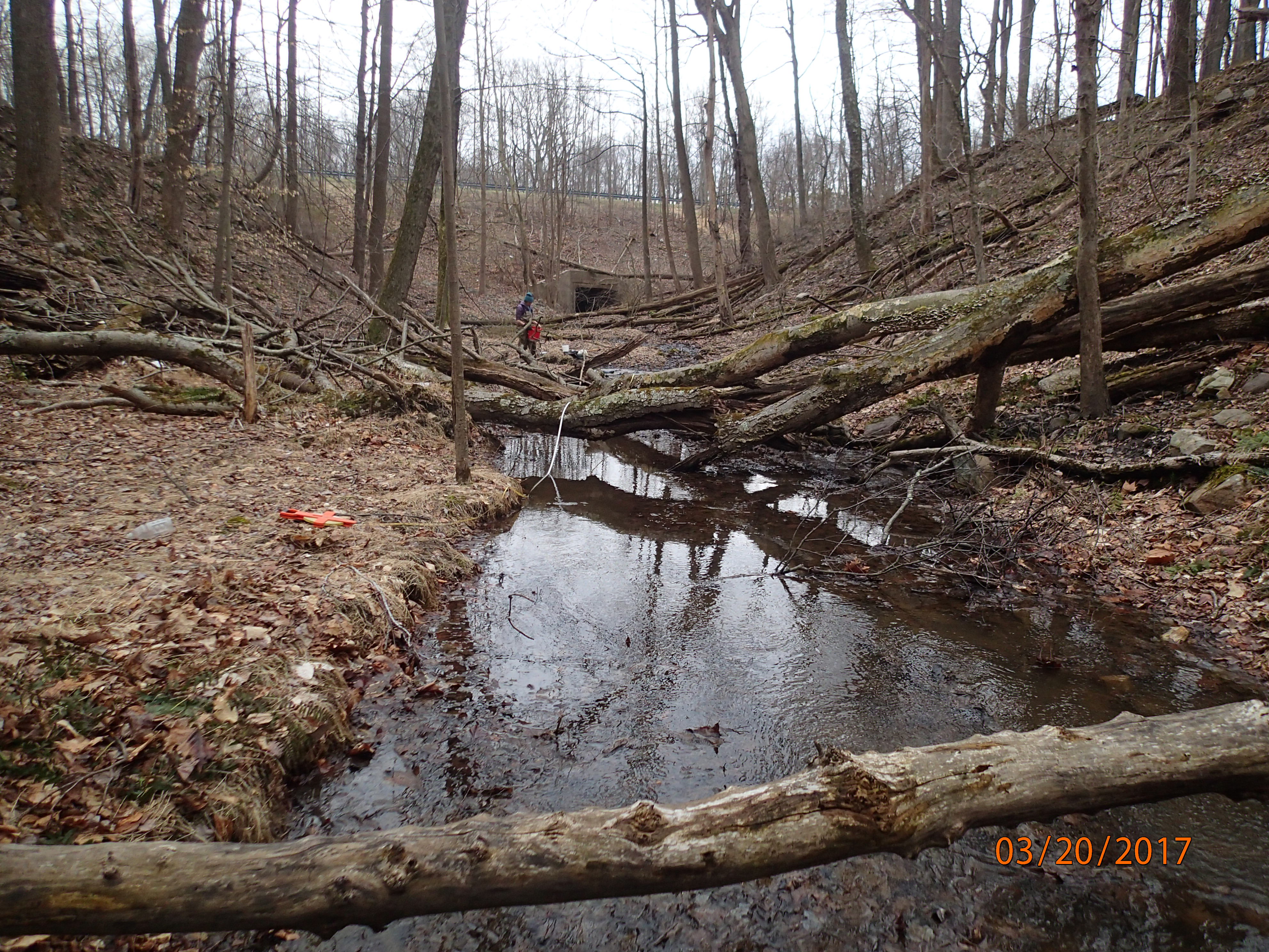 Field photo showing stream conditions at site UMON-102-X-2017-MidpointDownstream