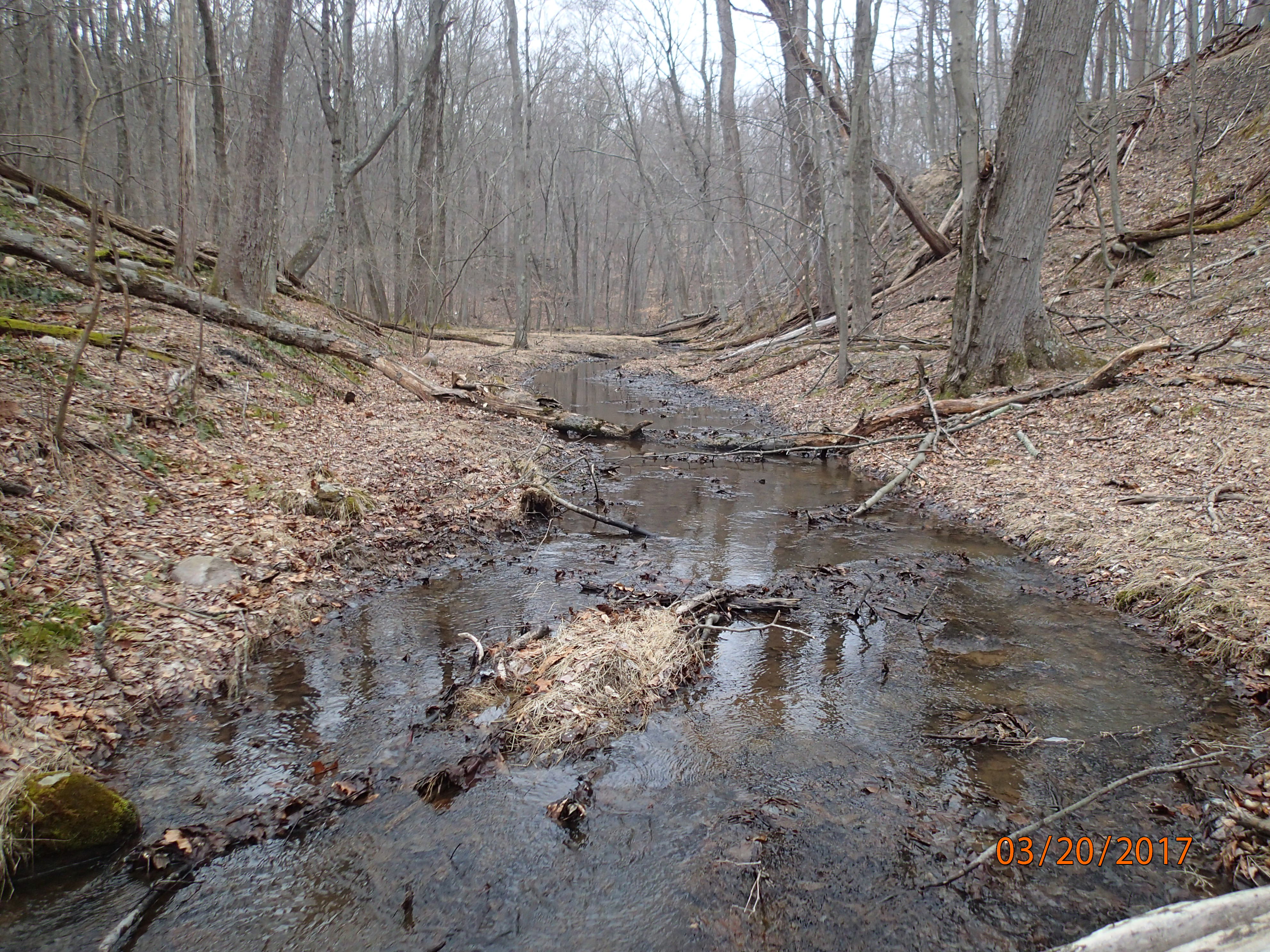 Field photo showing stream conditions at site UMON-102-X-2017-MidpointUpstream