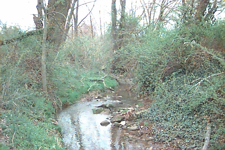 Field photo showing stream conditions at site UMON-103-R-2000-01