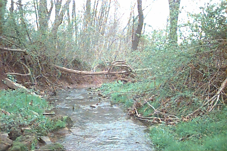 Field photo showing stream conditions at site UMON-103-R-2000-02