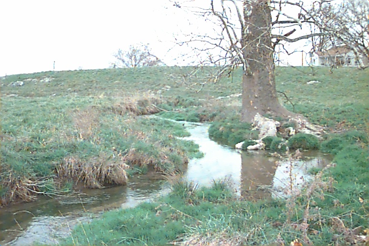 Field photo showing stream conditions at site UMON-106-R-2000-01