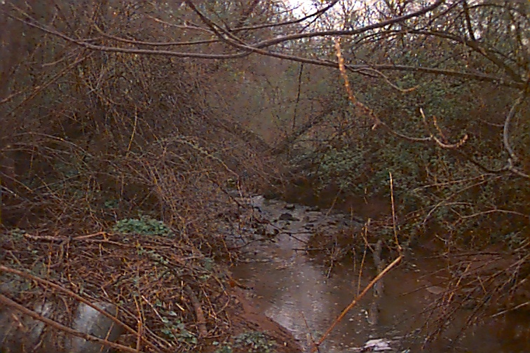 Field photo showing stream conditions at site UMON-117-R-2000-01