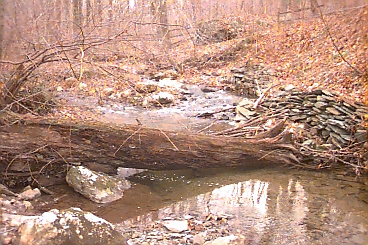 Field photo showing stream conditions at site UMON-119-R-2000-02