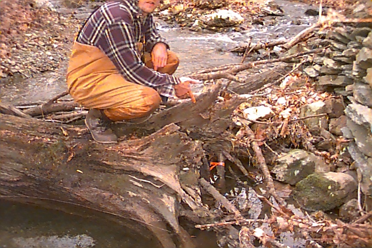 Field photo showing stream conditions at site UMON-119-R-2000-03