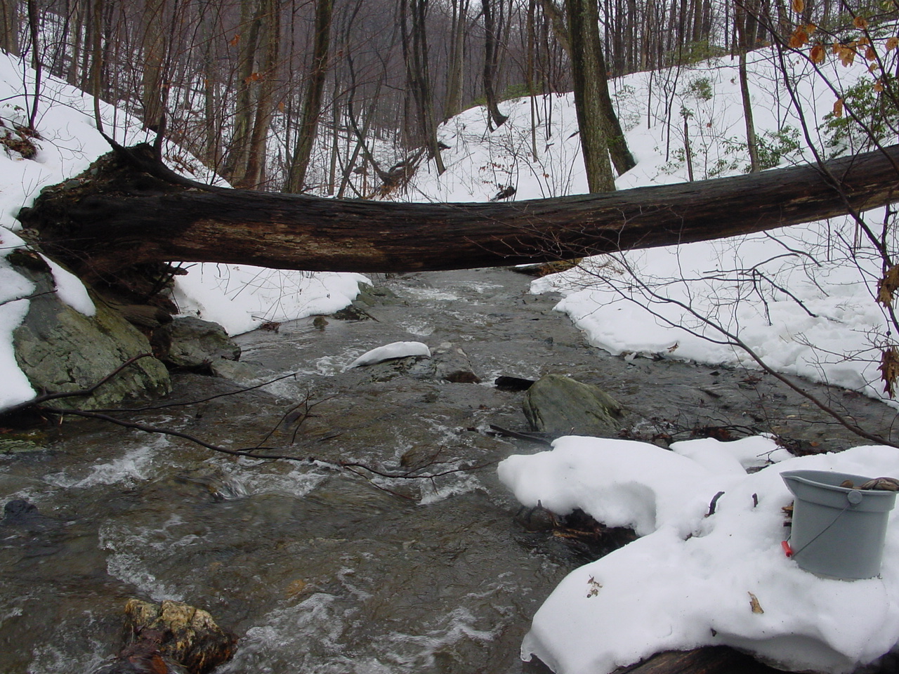 Field photo showing stream conditions at site UMON-119-S-2003-2
