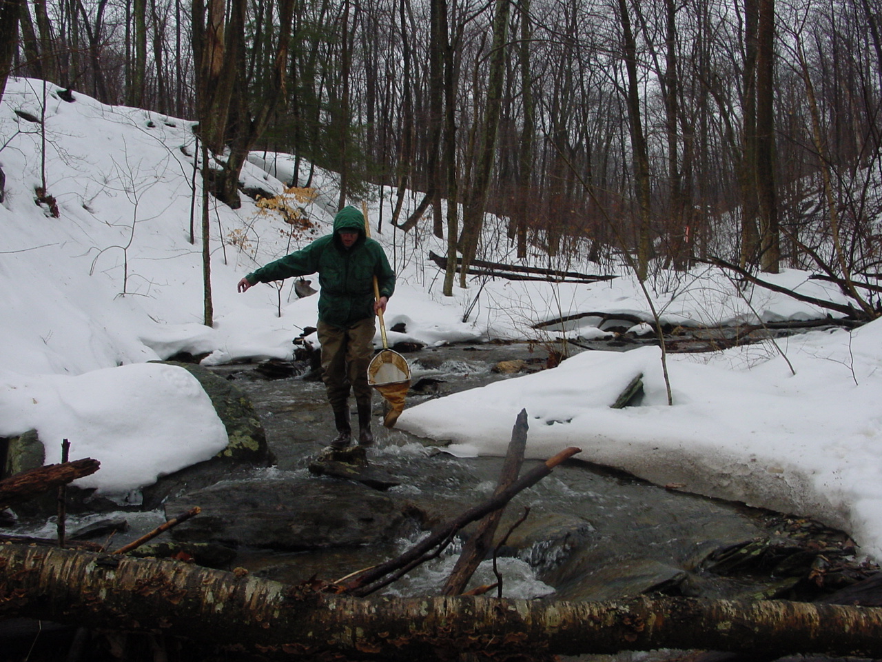 Field photo showing stream conditions at site UMON-119-S-2003-3