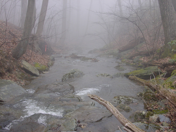 Field photo showing stream conditions at site UMON-119-S-2007-1