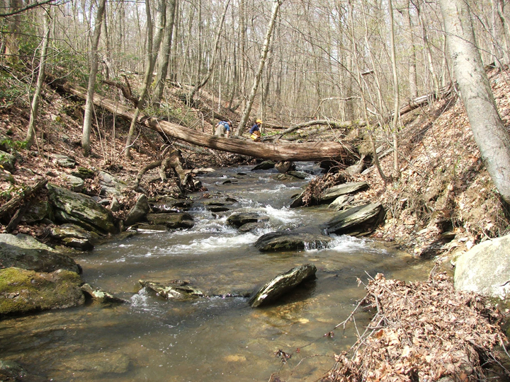 Field photo showing stream conditions at site UMON-119-S-2008-1
