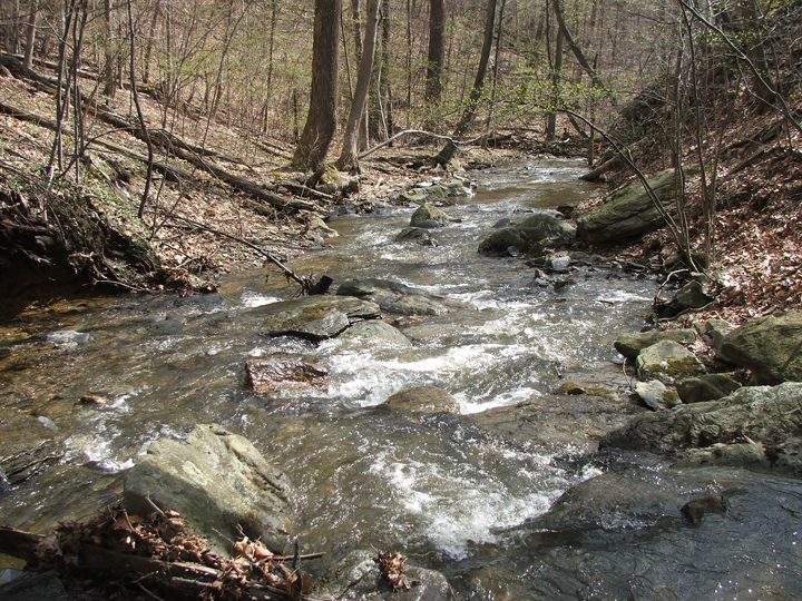 Field photo showing stream conditions at site UMON-119-S-2008-2