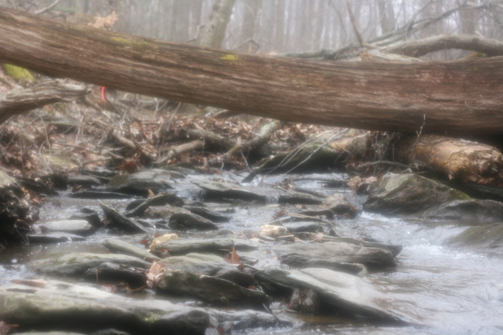 Field photo showing stream conditions at site UMON-119-S-2009-2