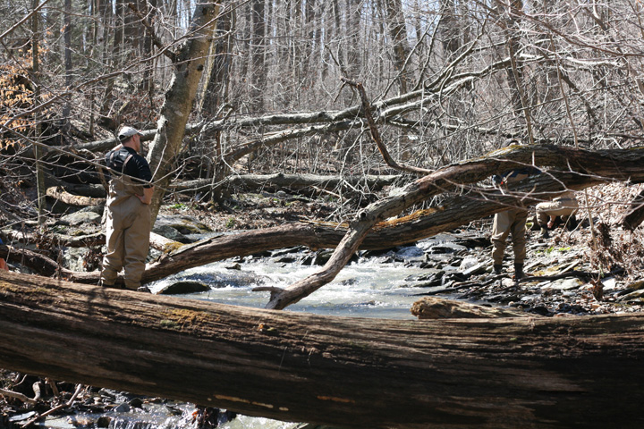 Field photo showing stream conditions at site UMON-119-S-2010-1