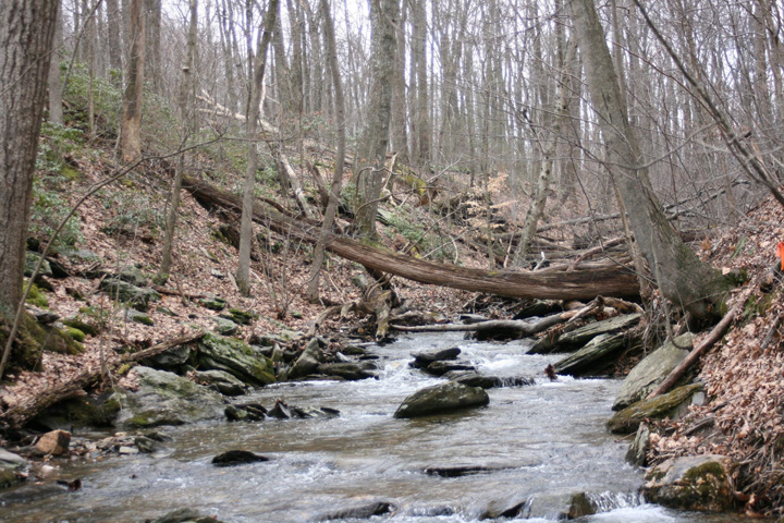 Field photo showing stream conditions at site UMON-119-S-2011-1