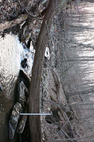 Field photo showing stream conditions at site UMON-119-S-2012_Mid-point_P_Upstream