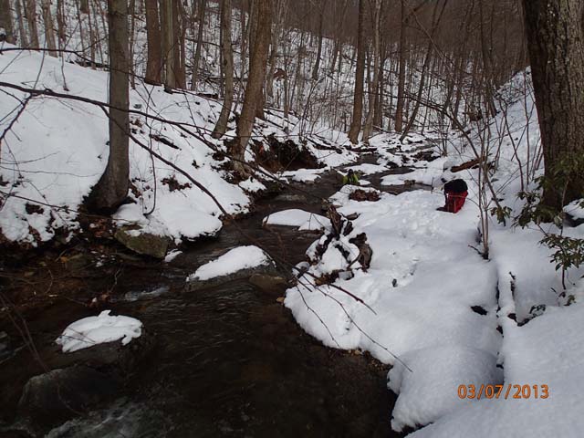 Field photo showing stream conditions at site UMON-119-S-2013-MidpointPdownstream