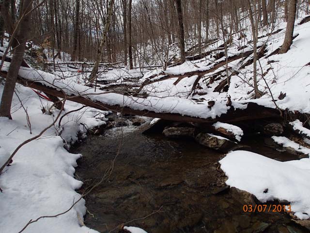 Field photo showing stream conditions at site UMON-119-S-2013-MidpointPupstream