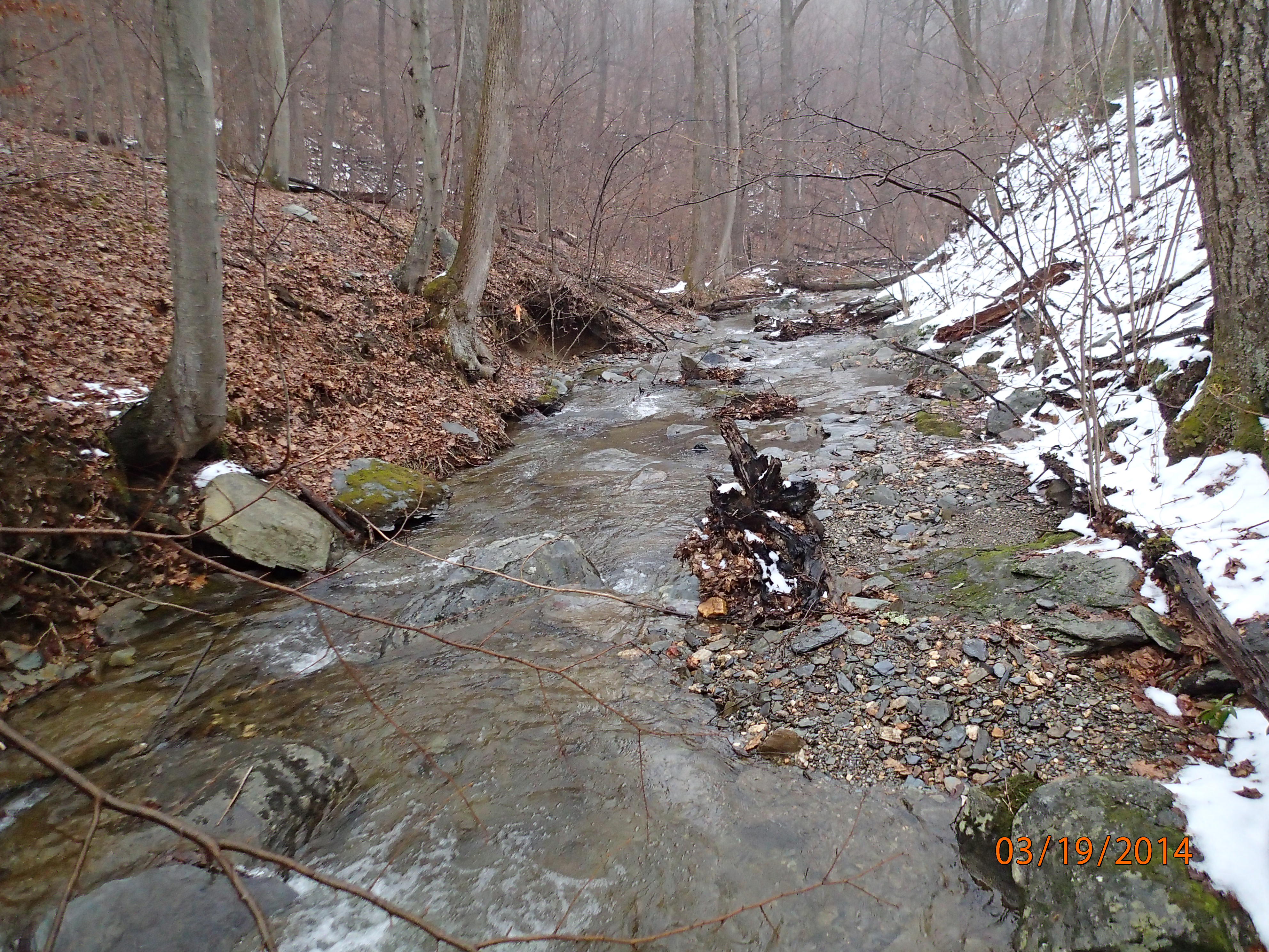 Field photo showing stream conditions at site UMON-119-S-2014-MidpointDownstream