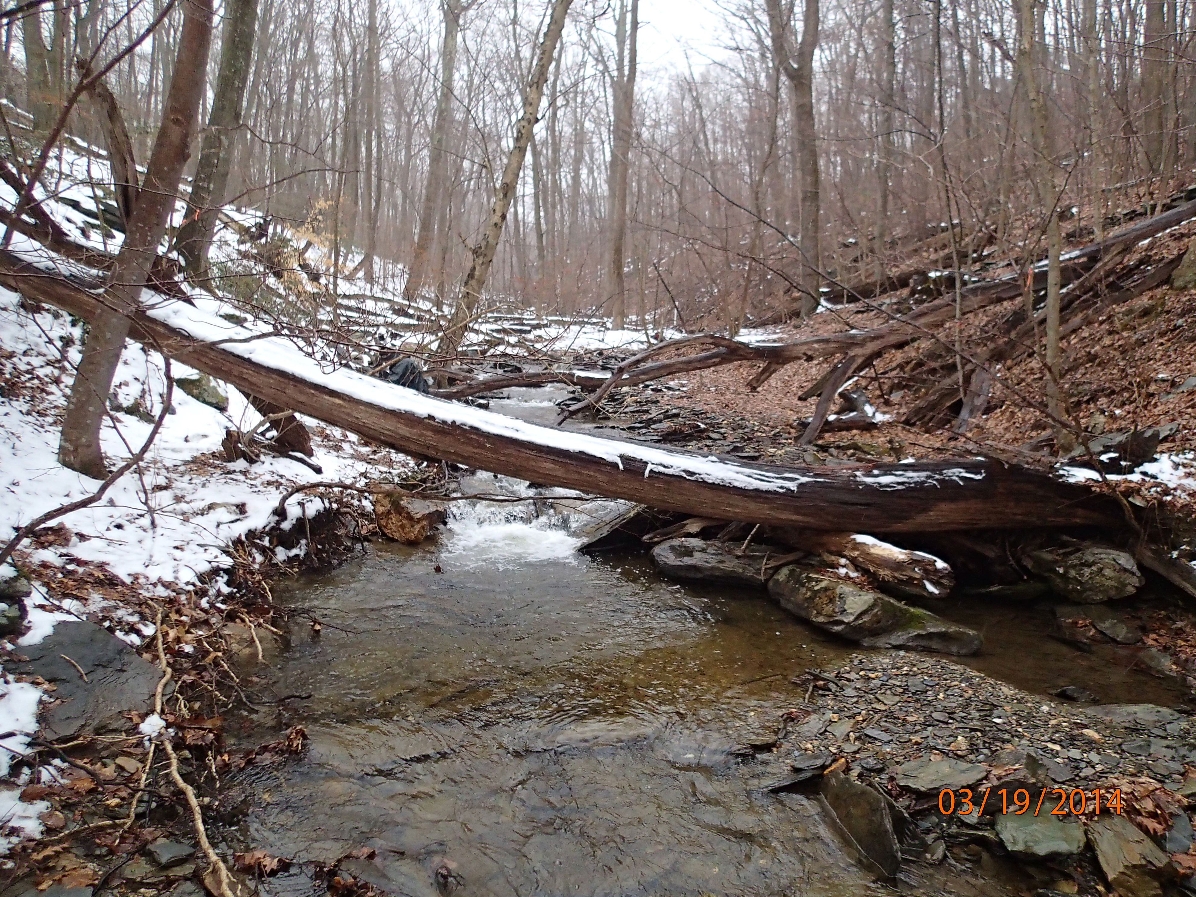Field photo showing stream conditions at site UMON-119-S-2014-MidpointUpstream
